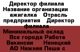 Директор филиала › Название организации ­ Zажигалка › Отрасль предприятия ­ Директор филиала › Минимальный оклад ­ 1 - Все города Работа » Вакансии   . Ненецкий АО,Нижняя Пеша с.